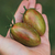 Tomate Lucky Tiger en internet