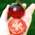 Tomate Damascus Steel