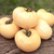 Tomate Great White