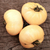 Tomate Great White