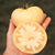 Tomate Great White en internet