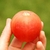 Tomate Peach Blow Sutton