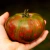 Tomate Ananas Zebra Verte - comprar online