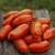 Tomate Cassady´s Folly - tienda online