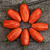 Tomate Casadys Folly - tienda online
