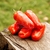 Tomate Smiley Worms en internet