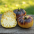 Tomate Sart Roloise - comprar online