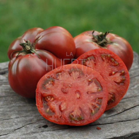 Tomate Negro Ruso