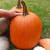 Calabaza Halloween