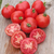 Tomate Snow Fairtale