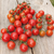 Cherry Dulcinea - tienda online