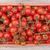 Imagen de Cherry Dulcinea