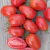 Tomate Window Dwarf - LA HUERTA ORGÁNICA SEMILLAS