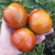 Tomate Audreys Love