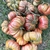 Tomate Zapoteca Chocolate - LA HUERTA ORGÁNICA SEMILLAS