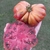 Imagen de Tomate Zapoteca Chocolate
