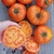 Tomate Amana Orange - LA HUERTA ORGÁNICA SEMILLAS