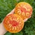 Tomate Beauty King - LA HUERTA ORGÁNICA SEMILLAS