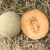 Melón Escrito Cantaloupe en internet