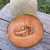 Melón Escrito Cantaloupe