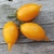 Tomate Golden Canary - comprar online