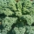 Kale Rizado Verde