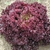 Lechuga Lollo Rossa - comprar online