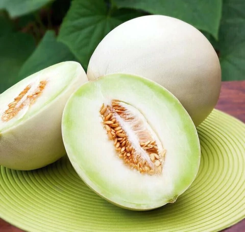 Melón Rocío de Miel