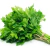 Perejil Hoja Lisa - comprar online