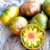 Tomate Ananas Zebra Verte