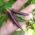 Ají Purple Chilli
