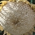 Girasol Tarahumaras en internet