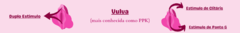 Banner da categoria VIBRADORES