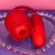 Sugador de Clitoris com Vibrador Vai e Vem Rosa Recarregável na internet