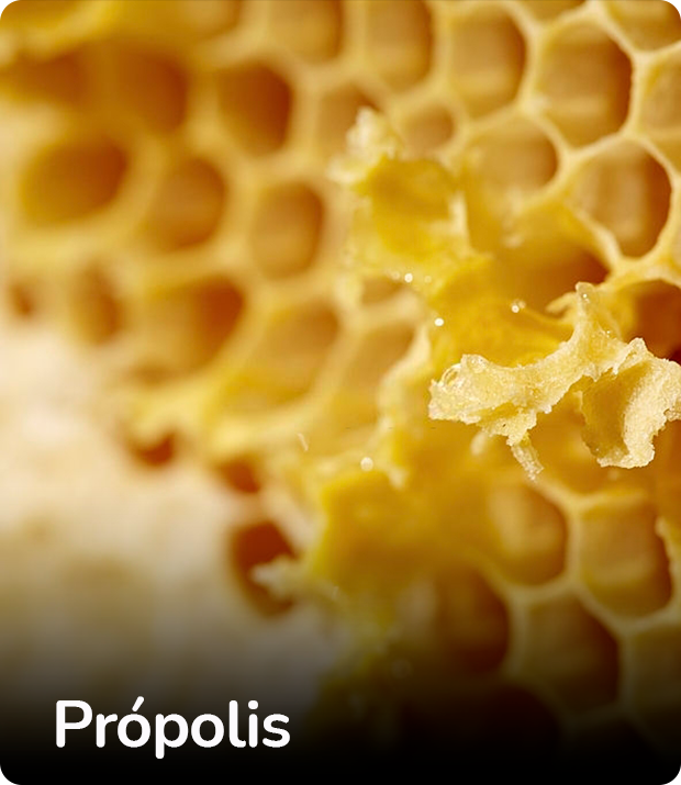 Banner de Apiários Rozatti