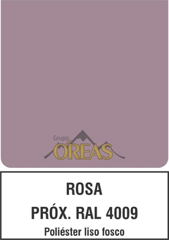 ROSA PRÓX RAL 4009 - comprar online