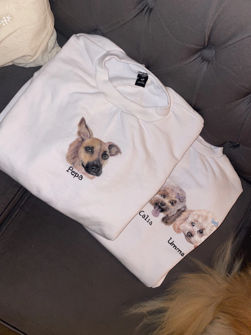 Buzo mascota