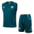 Kit Cruzeiro 2025/26 Regata e Short Treino - Verde Escuro - comprar online
