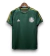 Camisa Palmeiras - 2015-16 - Retro Masculino - Verde - comprar online