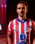Camisa Atlético Madrid 2024/25 -Torcedor Masculina - Vermelha e Branca na internet