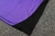Imagem do Alemanha Kit Regata e Short de Treino 2024/25 - Masculina - Roxa