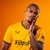 Camisa Wolverhampton (Wolves) 2023/24 - Torcedor Masculina - Amarela - comprar online