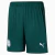 Kit Palmeiras I 2023 - Camisa e Short de Jogo - Torcedor - Verde - loja online