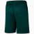Imagem do Kit Palmeiras I 2023 - Camisa e Short de Jogo - Torcedor - Verde