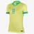 Camisa Brasil Conceitual 2022 Torcedor Feminina - Preta e Azul - (cópia)