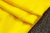 Conjunto Blusão Borussia Dortmund 2024/25 - Treino Masculina - Amarelo - RRSPORTS | Camisas de Time - Frete grátis!