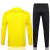 Conjunto Blusão Borussia Dortmund 2024/25 - Treino Masculina - Amarelo na internet
