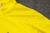 Conjunto Blusão Borussia Dortmund 2024/25 - Treino Masculina - Amarelo - loja online