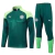 Conjunto Blusão Palmeiras 2024/25 - Treino Masculina - Verde - comprar online