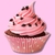 Caixa para 6 Cupcakes com Berço - Icebox Embalagens - Embalando momentos!